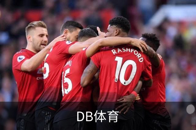 DB体育公司简介